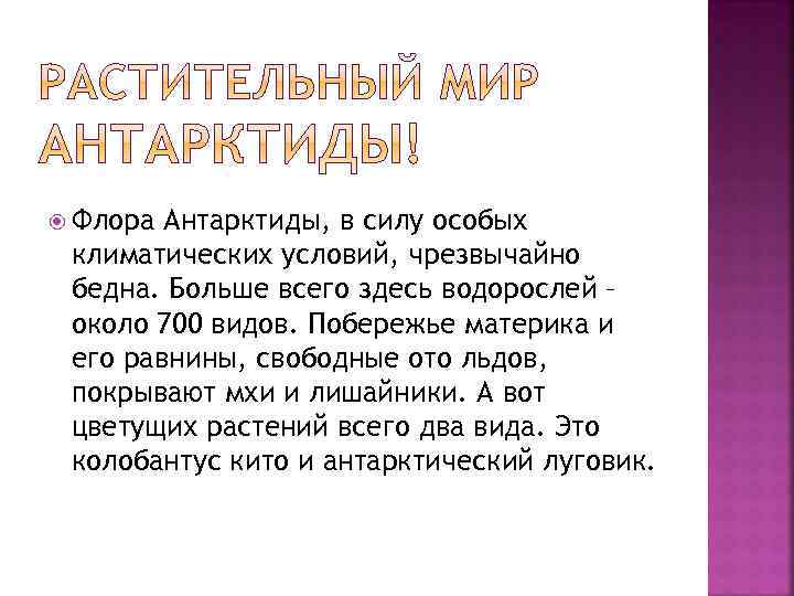  Флора Антарктиды, в силу особых климатических условий, чрезвычайно бедна. Больше всего здесь водорослей