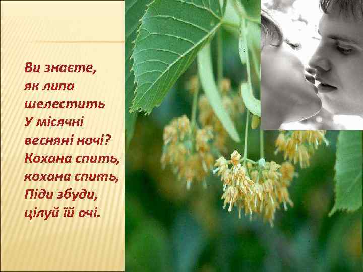 Ви знаєте, як липа шелестить У місячні весняні ночі? Кохана спить, кохана спить, Піди