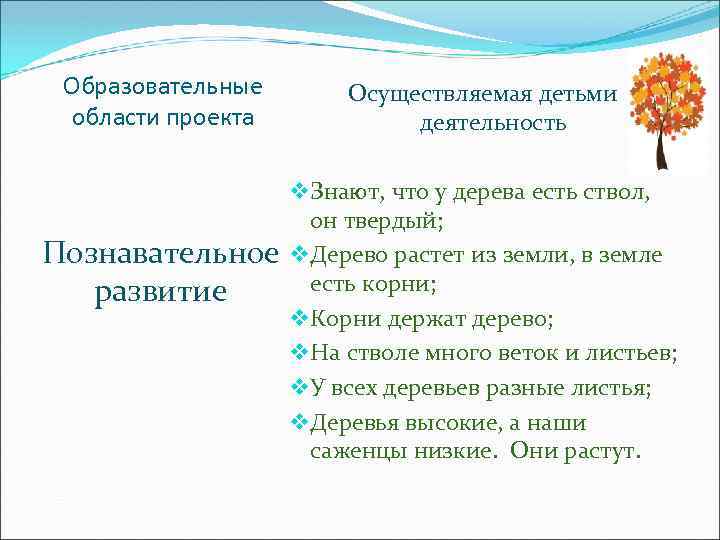 Образовательные области проекта Познавательное развитие Осуществляемая детьми деятельность v Знают, что у дерева есть