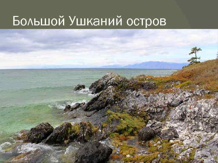 Большой Ушканий остров 