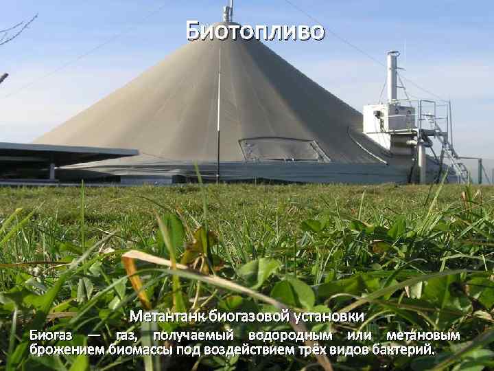 Биотопливо Метантанк биогазовой установки Биогаз — газ, получаемый водородным или метановым брожением биомассы под