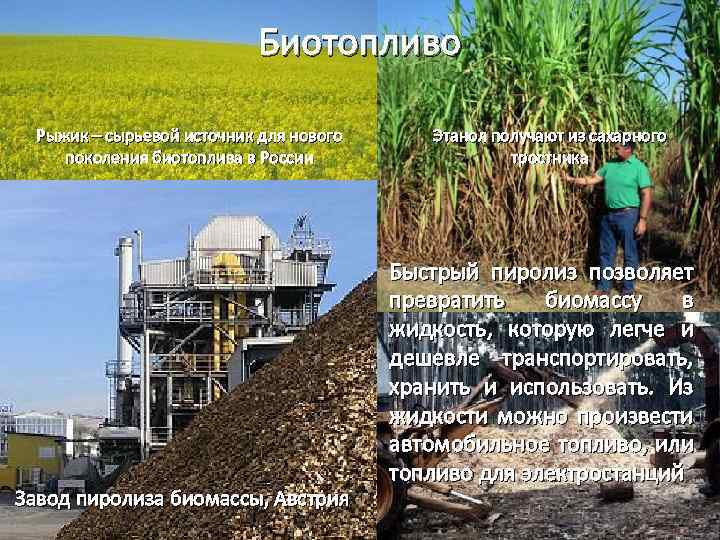 Биотопливо Рыжик – сырьевой источник для нового поколения биотоплива в России Завод пиролиза биомассы,