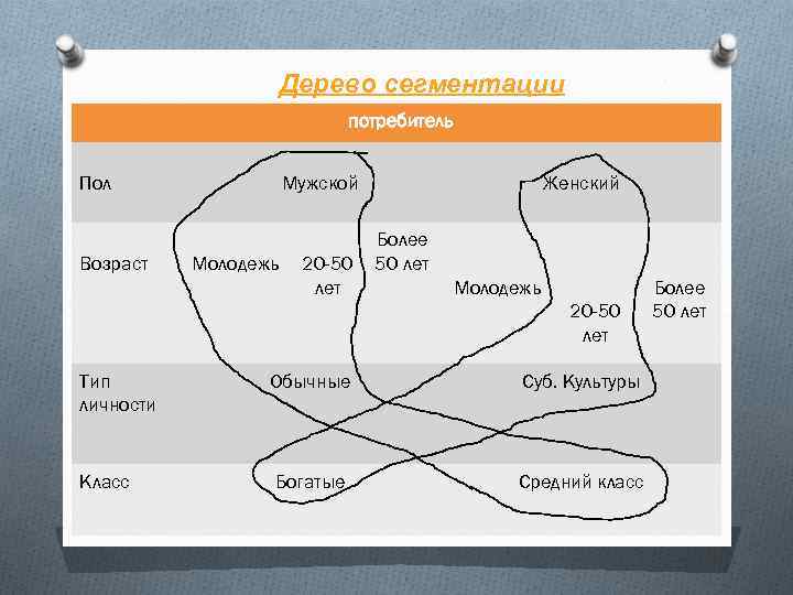 Дерево сегментации потребитель Пол Возраст Мужской Молодежь 20 -50 лет Женский Более 50 лет