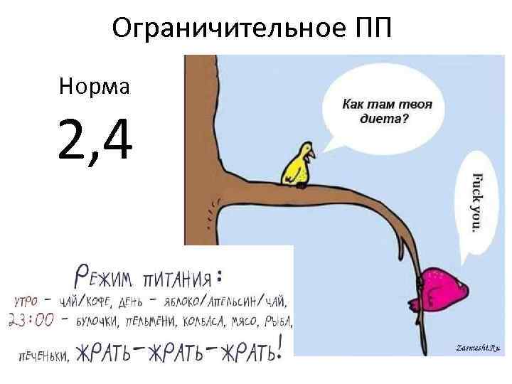 Ограничительное ПП Норма 2, 4 