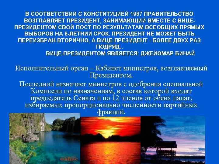 В СООТВЕТСТВИИ С КОНСТИТУЦИЕЙ 1987 ПРАВИТЕЛЬСТВО ВОЗГЛАВЛЯЕТ ПРЕЗИДЕНТ, ЗАНИМАЮЩИЙ ВМЕСТЕ С ВИЦЕПРЕЗИДЕНТОМ СВОЙ ПОСТ