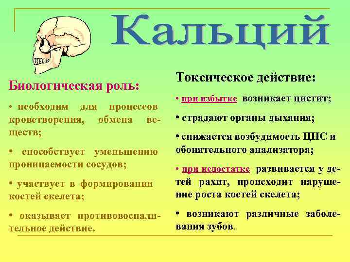 Биологическая роль: • необходим для процессов кроветворения, обмена веществ; • способствует уменьшению проницаемости сосудов;