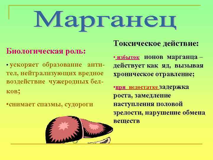 Биологическая роль: • ускоряет образование анти- тел, нейтрализующих вредное воздействие чужеродных белков; • снимает