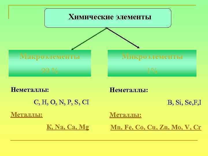 Химические элементы Макроэлементы Микроэлементы 99 % 1% Неметаллы: С, Н, О, N, Р, S,