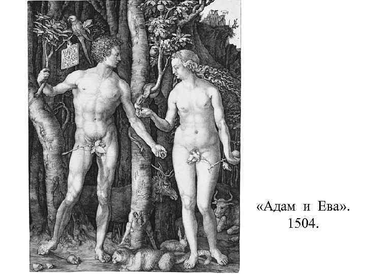  «Адам и Ева» . 1504. 