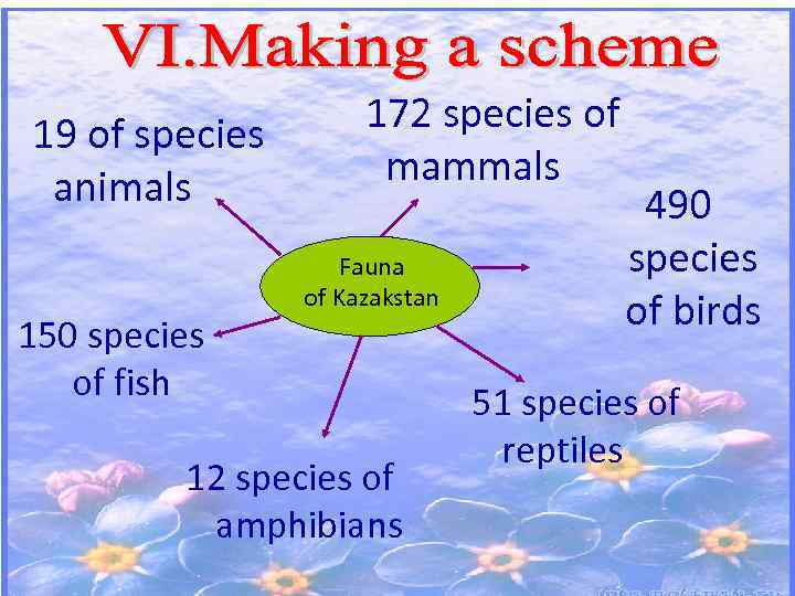 19 of species animals 150 species of fish 172 species of mammals Fauna of