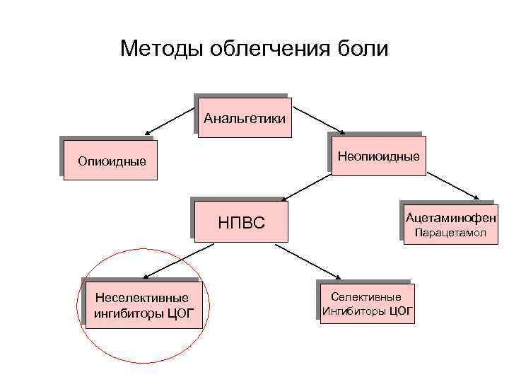 Методы облегчения боли Анальгетики Неопиоидные Опиоидные НПВС Неселективные ингибиторы ЦОГ Ацетаминофен Парацетамол Селективные Ингибиторы