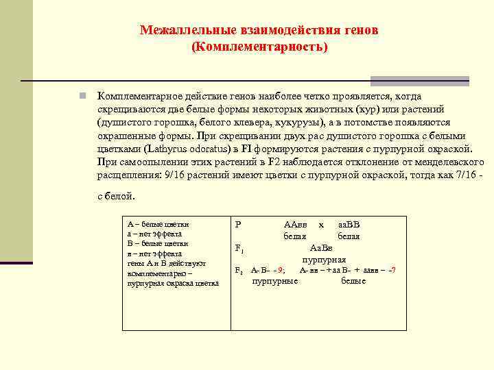 Межаллельные взаимодействия генов (Комплементарность) n Комплементарное действие генов наиболее четко проявляется, когда скрещиваются две