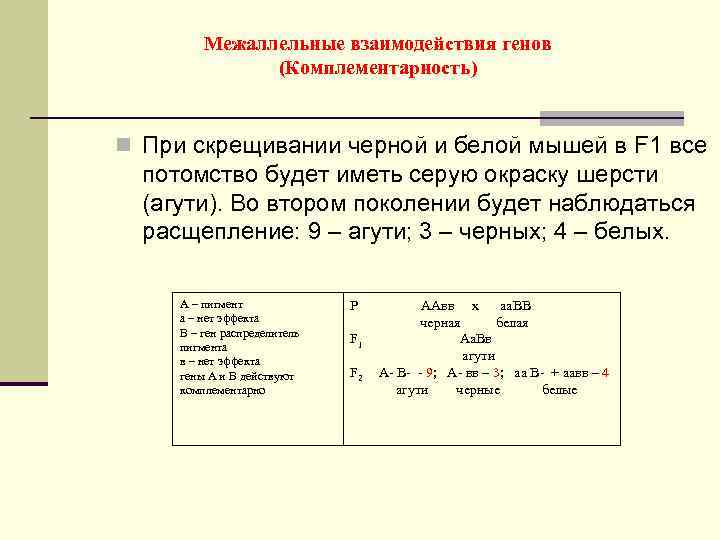 Межаллельные взаимодействия генов (Комплементарность) n При скрещивании черной и белой мышей в F 1