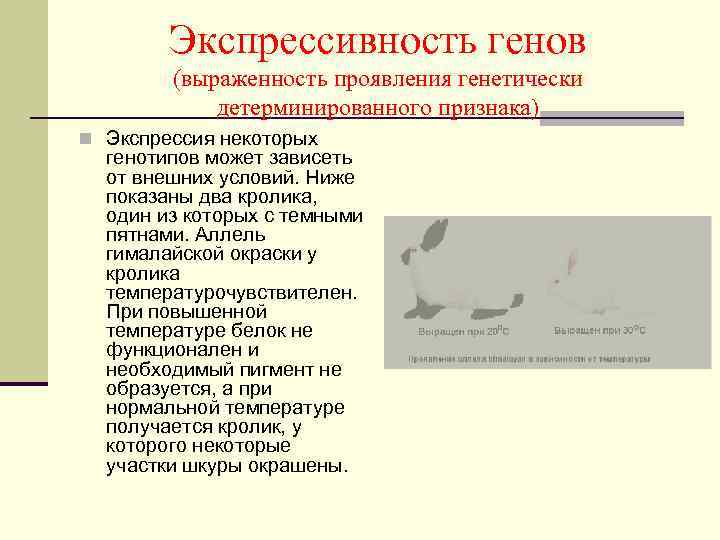 Экспрессивность это. Экспрессивность примеры. Экспрессивность это в генетике примеры. Экспрессивность пенетрантность плейотропия. Экспрессивность признака.