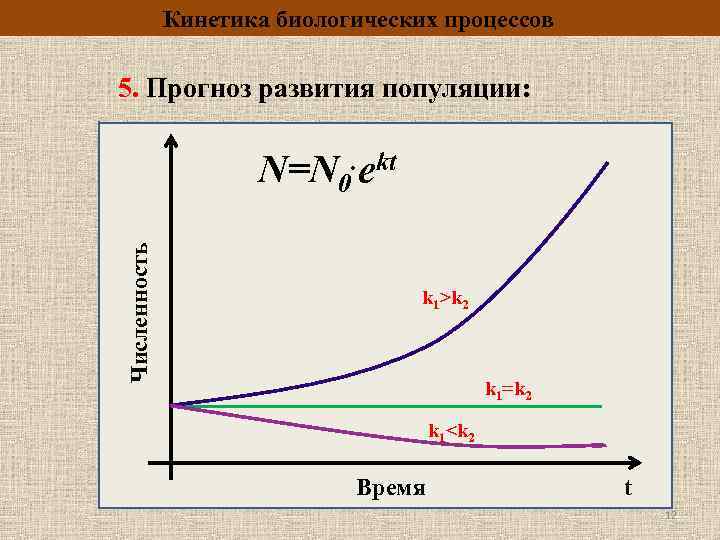 Кинетика это. Кинетика биологических процессов. Кинетика процесса это. Кинетика графики.