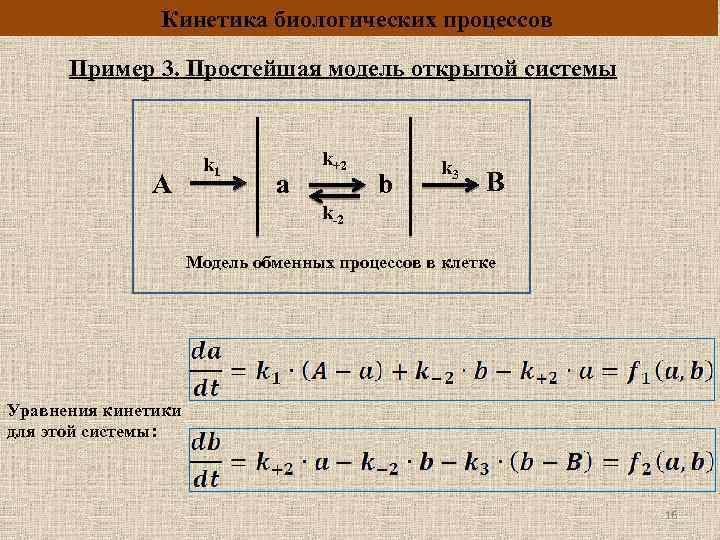 Кинетических процессов. Кинетика биологических процессов. Уравнение кинетики процесса примеры. Кинетика процесса это. Уравнения биологических процессов.