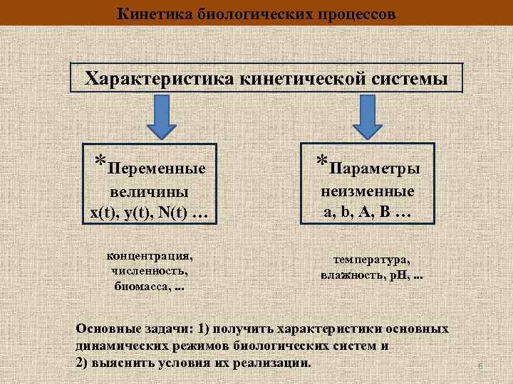 Кинетика биологических процессов Характеристика кинетической системы *Переменные *Параметры величины x(t), y(t), N(t) … неизменные