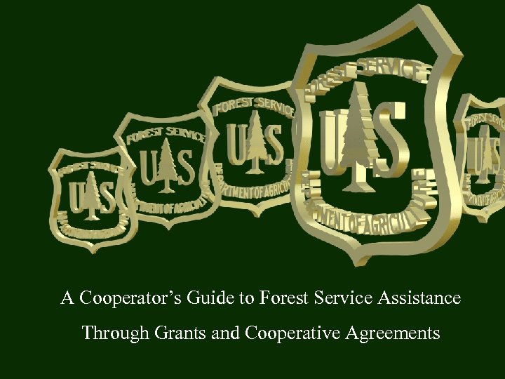 A Cooperator’s Guide to Forest Service Assistance Through Grants and Cooperative Agreements 