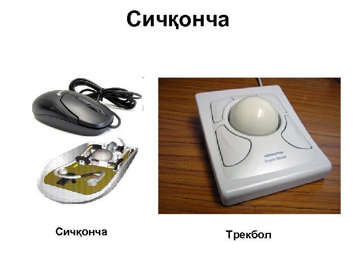 Сичқонча Трекбол 