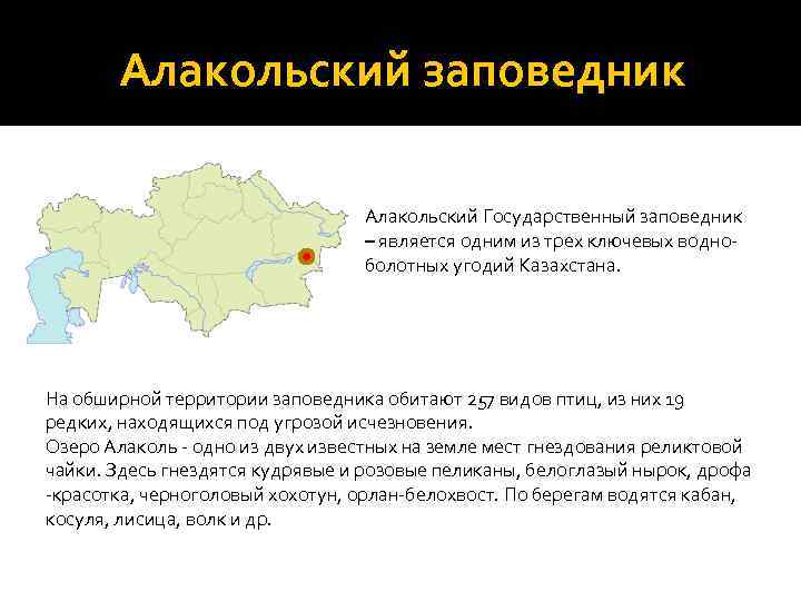 Алакольский заповедник Алакольский Государственный заповедник – является одним из трех ключевых водноболотных угодий Казахстана.