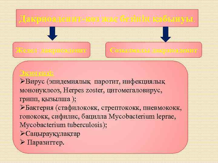 Дакриоаденит-көз жас безінің қабынуы. Жедел дакриоаденит Созылмалы дакриоаденит Экзогенді: ØВирус (эпидемиялық паротит, инфекциялық мононуклеоз,