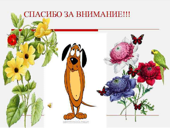 СПАСИБО ЗА ВНИМАНИЕ!!! 