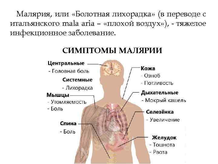 Малярия, или «Болотная лихорадка» (в переводе с итальянского mala aria – «плохой воздух» ),