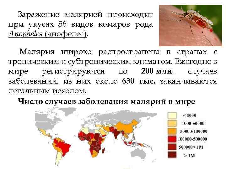 Заражение малярией происходит при укусах 56 видов комаров рода Anopheles (анофелес). Малярия широко распространена