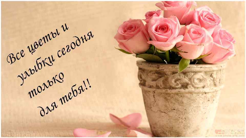 и ы ня ет год в е ц се ки с В б лы