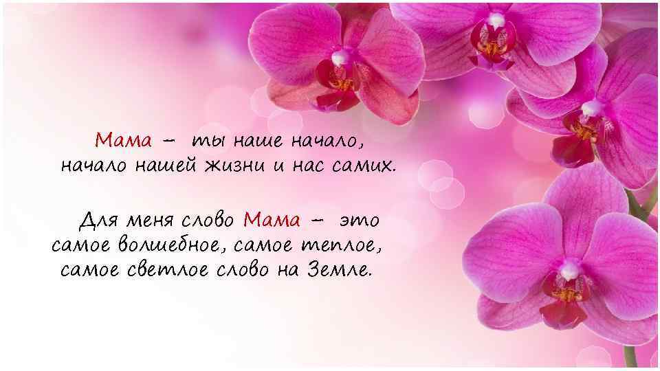 Мама – ты наше начало, начало нашей жизни и нас самих. Для меня слово