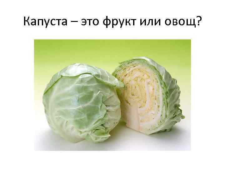 Капуста – это фрукт или овощ? 