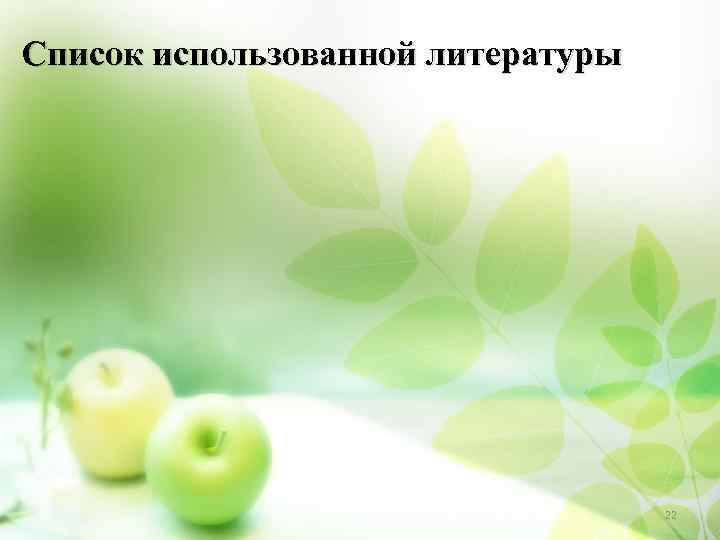 Список использованной литературы 22 