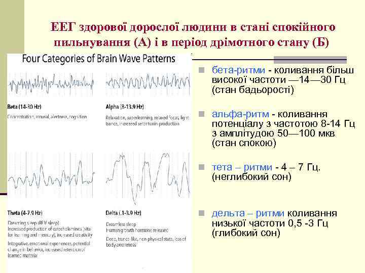 ЕЕГ здорової дорослої людини в стані спокійного пильнування (А) і в період дрімотного стану