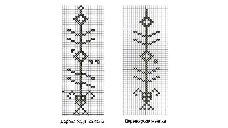 Дерево рода невесты Дерево рода жениха 