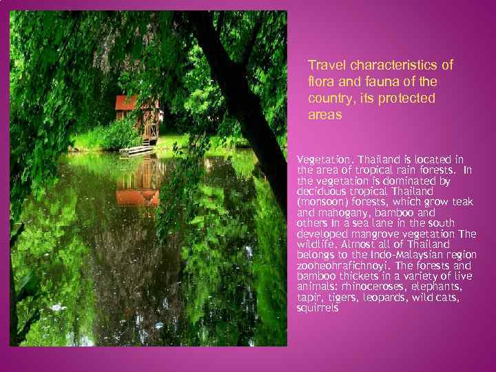 Travel characteristics of flora and fauna of the country, its protected areas Vegetation. Thailand