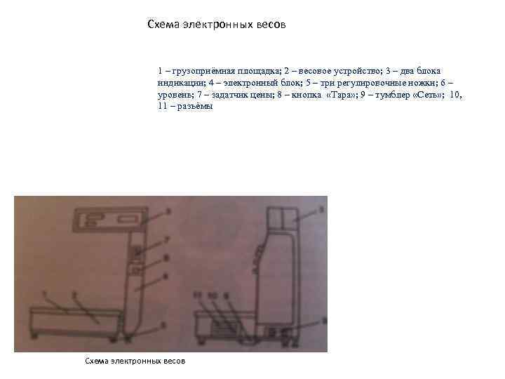 Схема электронных весов 1 – грузоприёмная площадка; 2 – весовое устройство; 3 – два