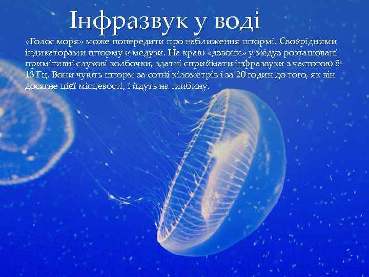 Інфразвук у воді «Голос моря» може попередити про наближення штормі. Своєрідними індикаторами шторму є