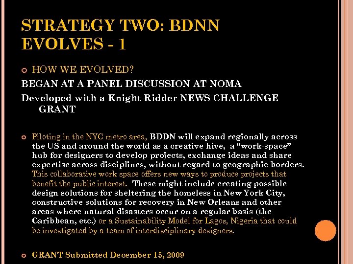 STRATEGY TWO: BDNN EVOLVES - 1 HOW WE EVOLVED? BEGAN AT A PANEL DISCUSSION