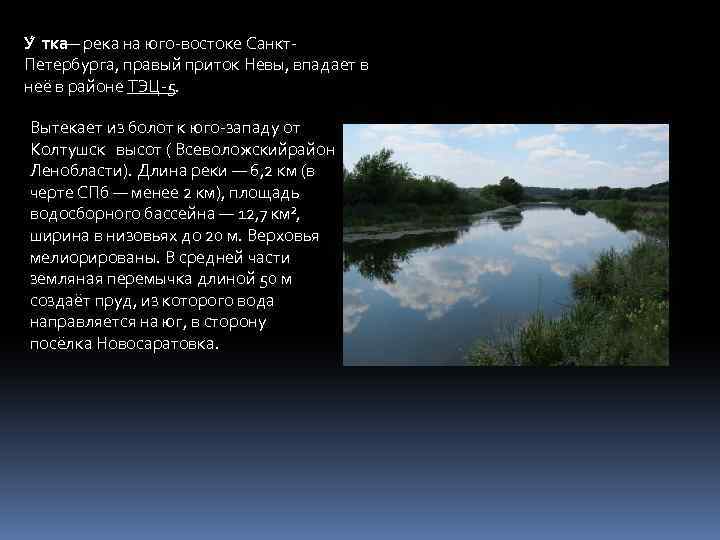 У тка — река на юго-востоке Санкт. Петербурга, правый приток Невы, впадает в неё
