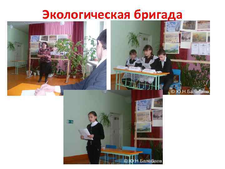 Экологическая бригада 