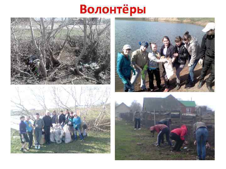 Волонтёры 