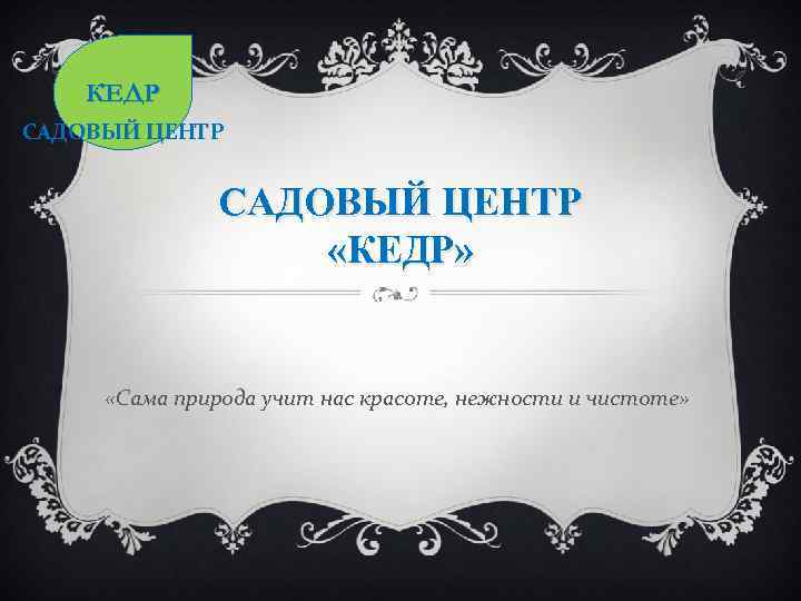 КЕДР САДОВЫЙ ЦЕНТР «КЕДР» «Сама природа учит нас красоте, нежности и чистоте» 