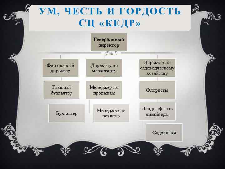 УМ, ЧЕСТЬ И ГОРДОСТЬ СЦ «КЕДР» Генеральный директор Финансовый директор Директор по маркетингу Директор