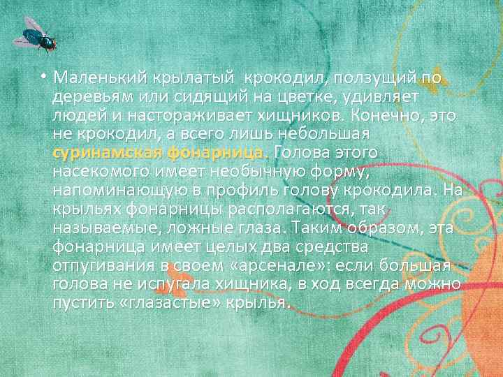 • Маленький крылатый крокодил, ползущий по деревьям или сидящий на цветке, удивляет людей