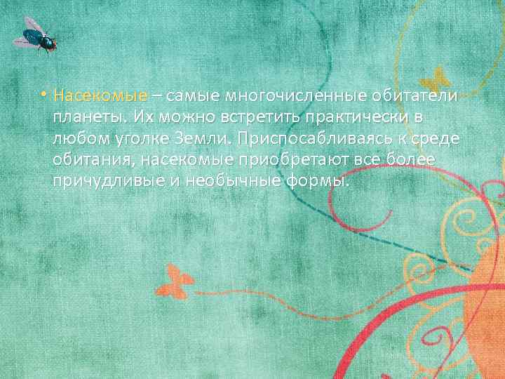  • Насекомые – самые многочисленные обитатели планеты. Их можно встретить практически в любом