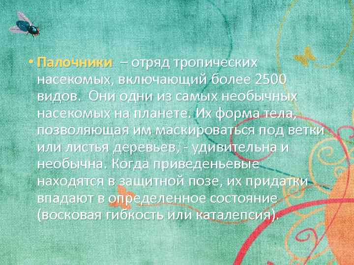  • Палочники – отряд тропических насекомых, включающий более 2500 видов. Они одни из