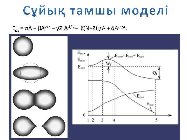 Есв = αА − βA 2/3 − γZ 2 A-l/3 − ξ(N−Z)2/A + δA-3/4.