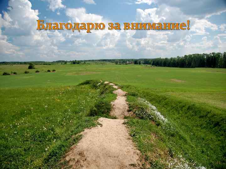 Благодарю за внимание! 