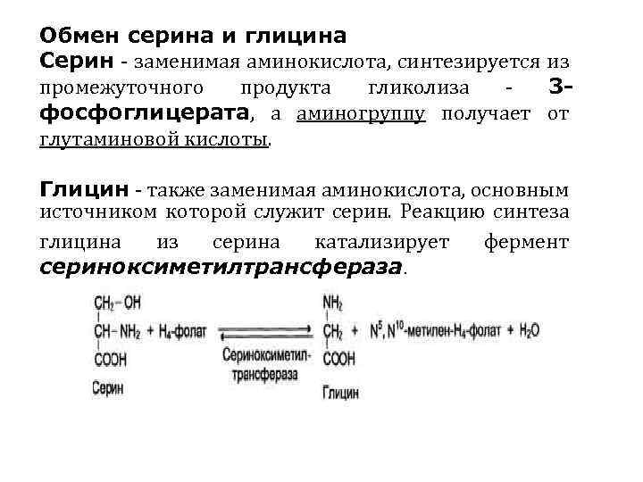 Обмен серина и глицина Серин - заменимая аминокислота, синтезируется из промежуточного продукта гликолиза 3