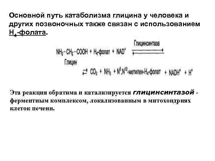 Основной путь катаболизма глицина у человека и других позвоночных также связан с использованием Н